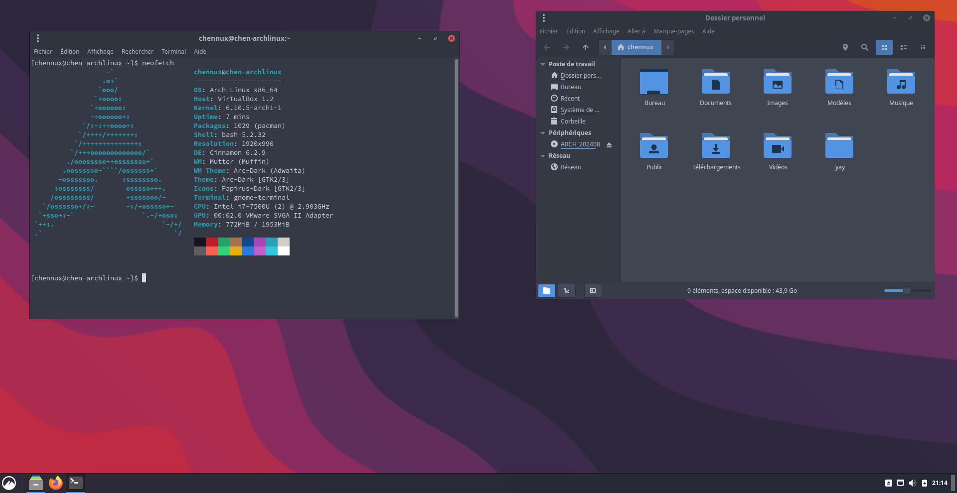 Cinnamon 6.2.9